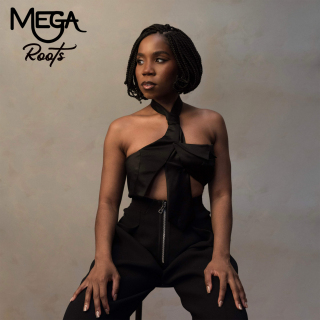 MEGA - Roots (Direct Radio Promotions Ltd)